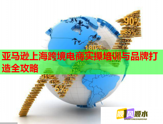 亞馬遜上?？缇畴娚虒?shí)操培訓(xùn)與品牌打造全攻略