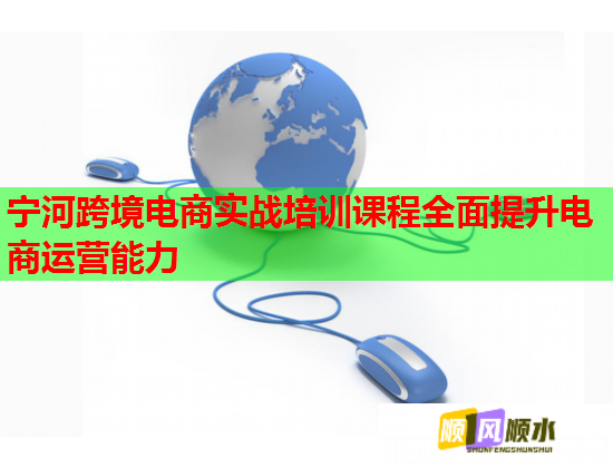 寧河跨境電商實戰(zhàn)培訓課程全面提升電商運營能力 寧河跨境電商實戰(zhàn)培訓課程全面提升電商運營能力