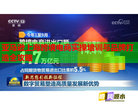 亞馬遜上?？缇畴娚虒?shí)操培訓(xùn)與品牌打造全攻略