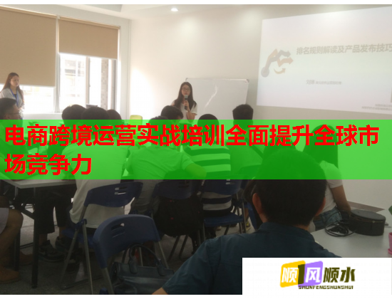 電商跨境運(yùn)營實戰(zhàn)培訓(xùn)全面提升全球市場競爭力 電商跨境運(yùn)營實戰(zhàn)培訓(xùn)全面提升全球市場競爭力